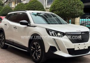 Xe Peugeot 2008 GT Line 1.2 AT 2021